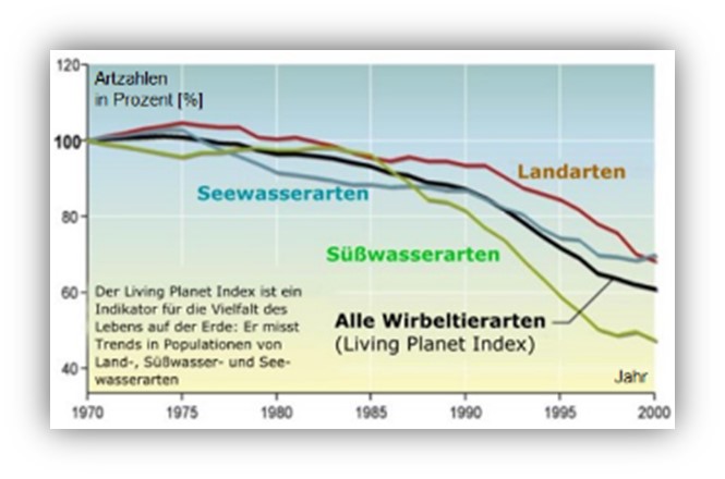 insektensterben